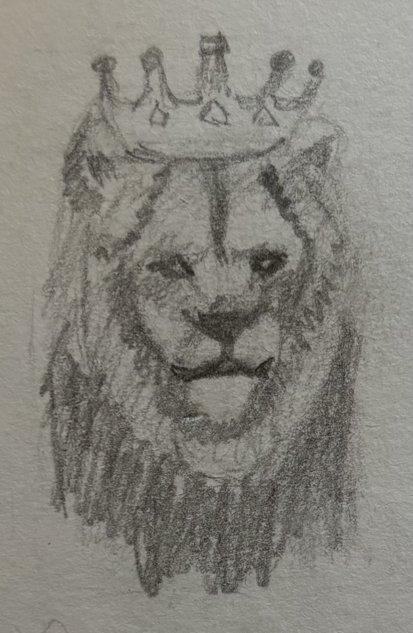 sketch of a lion with a crown by Jewels (reference lion is licensed)